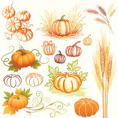 Autumn design elements.  Global colors used and hi res jpeg included.Scroll down to see more of my illustrations.