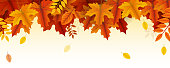 autumn falling leaves background