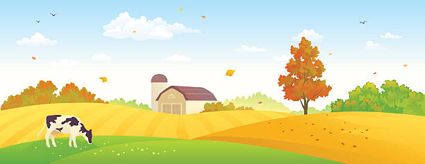 Autumn farm banner vector art illustration