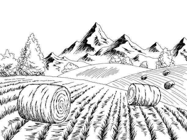 illustrazioni stock, clip art, cartoni animati e icone di tendenza di autunno campo collina grafica bianco nero paesaggio disegno illustrazione vettore - fieno