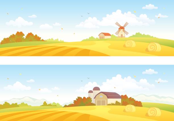 Autumn fields banners vector art illustration
