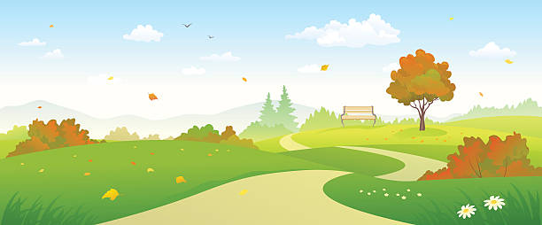 Autumn forest pathway vector art illustration