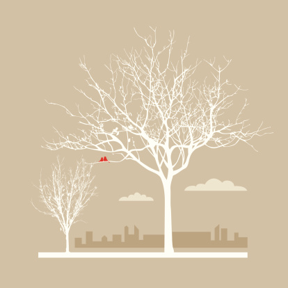 Autumn in the city: tree silhouettes after leaves has fallen. A pair of red birds rests on the branches overlooking a modern city skyline. vector