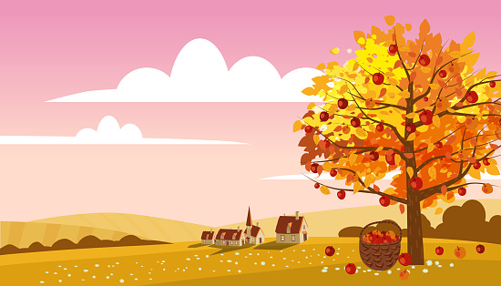 Autumn landscape countryside farm scene, apple tree, harvest. Rural fall view fields