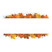 Autumn leaves around blank rectangle. Vector banner.