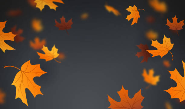 Autumn Leaves Background Falling autumn maple leaves background abstract. storm borders stock illustrations