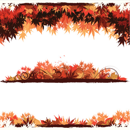 Three various horizontal autumn themed backgrounds. vector