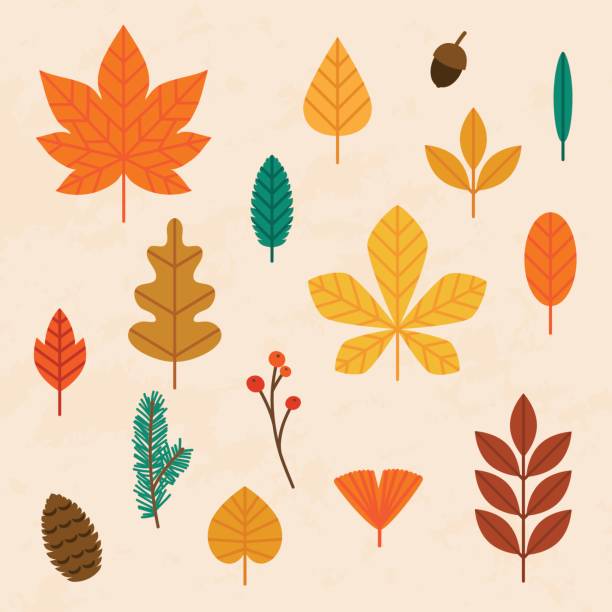 Autumn leaves set. Flat design modern vector illustration concept. Autumn leaves set. Flat design modern vector illustration concept. fall leaves stock illustrations