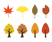 Illustration of Autumn leaves.