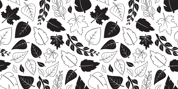 Autumn leaves vector seamless pattern, fall black flat and outline design. Nature background. Simple season