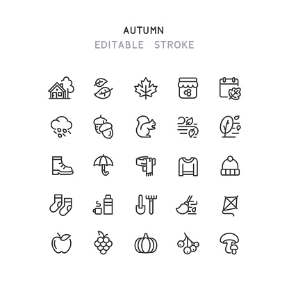Set of autumn line vector icons. Editable stroke.