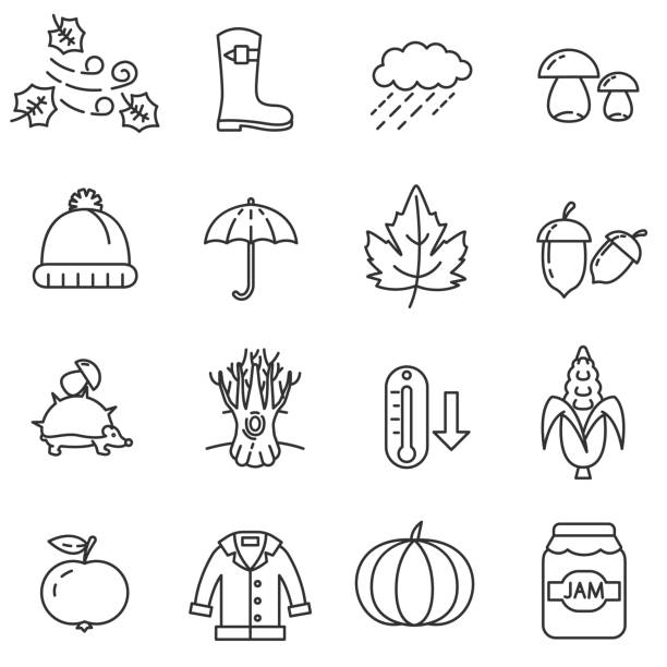 Autumn linear icons set. Autumn linear icons set. Thin line design autumn icons stock illustrations