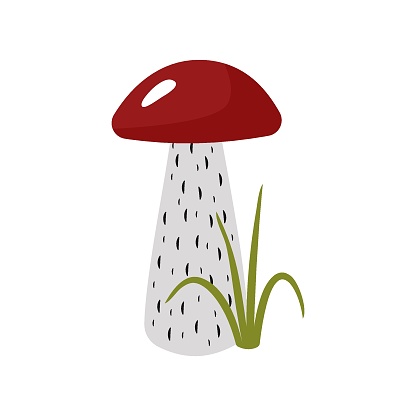 Autumn mushroom boletus with a red cap. Vector illustration isolated. For postcard design, decoration or printing