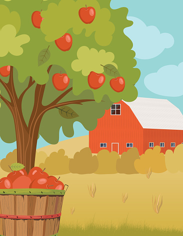 Autumn Orchard Farm Scene