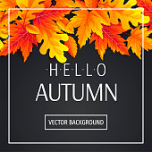 Autumn promo sale banner or background with bright autumn leaves. Vector illustration for banner, poster, invitation, special offer, advertising, flyer, commercial.