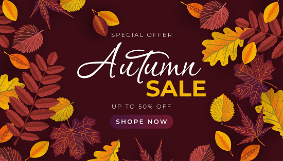 Autumn sale banner with leaves. Vector template for sale banner, promo poster, flyer, invitation, website, greeting card, etc