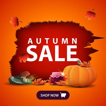 Autumn sale, orange web banner with a hole in the wall, pumpkin, mushrooms, jar of jam and maple leaves