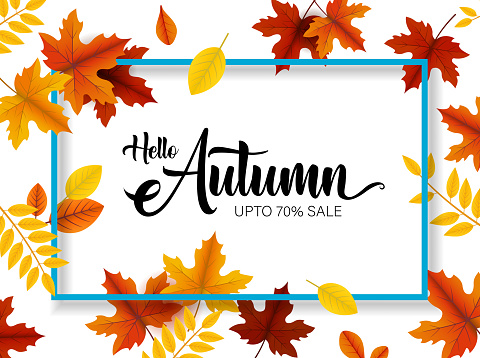autumn leaves frame sale banner design