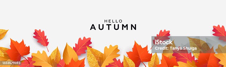 istock Autumn seasonal background with border made of falling autumn golden, red and orange colored leaves isolated on white background with place for text. 1333579493