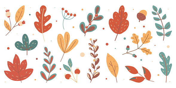 Autumn set. Collection of hand drawn fallen leaves seasonal vector illustration