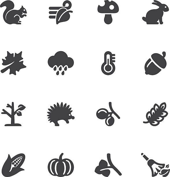 Autumn Silhouette icons | EPS10 Autumn Silhouette icons  autumn symbols stock illustrations