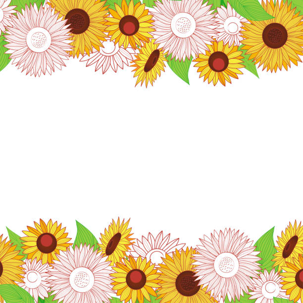 Free Sunflower Border Svg - 219+ SVG File for Silhouette