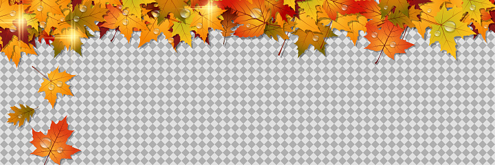 Autumn style vector banner design template. Transparent background with colorful leaves and glass billboard