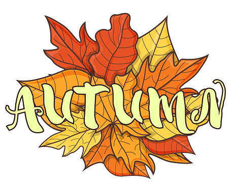 Autumn Text On Leaf Concept Icon Leaf Fall Background Autumn Symbol Icon  And Badge Cartoon Vector Illustration Stock Illustration - Download Image  Now - iStock