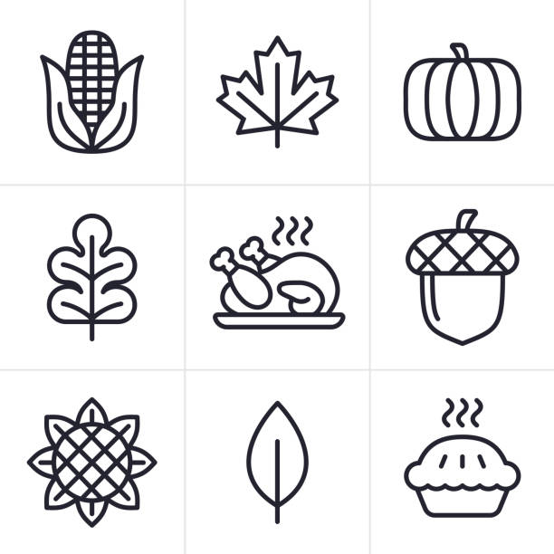 bildbanksillustrationer, clip art samt tecknat material och ikoner med autumn thanksgiving line icon symbols - pumpor skördefest