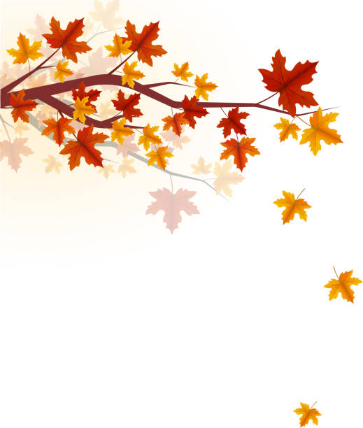 autumn tree branch autumn season falling leaves concept background autumn silhouettes stock illustrations