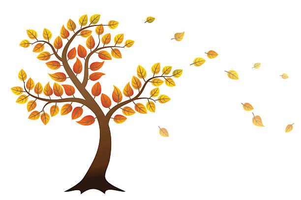 Autumn tree Autumn tree with falling leaves on white background autumn clipart stock illustrations