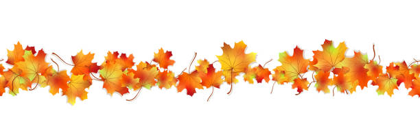 Autumn vector seamless background Horizontal seamless pattern bright dried maple autumn foliage isolated on white. Graphic design autumn symbol. Red orange yellow autumn leaves with shadow. Autumn foliage seasonal background. Vector fall leaves stock illustrations