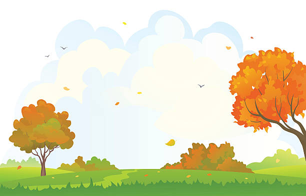 Autumn woods background vector art illustration