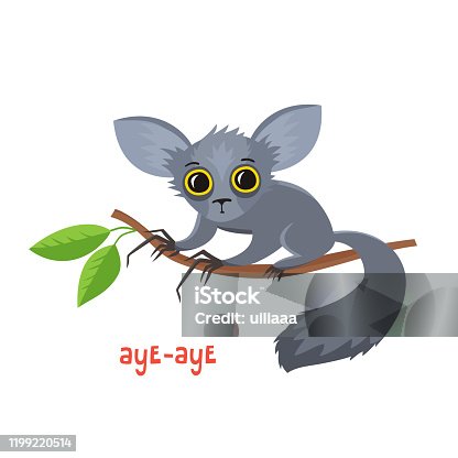 istock Aye-aye from Madagascar in cartoon style. 1199220514