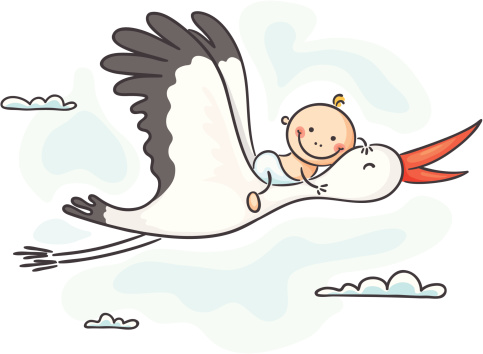 Baby and stork