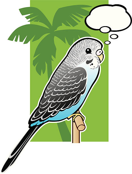 Baby Blue Budgerigar Parakeet vector art illustration