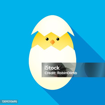 istock Baby Chick Hatching From Egg 1309310695