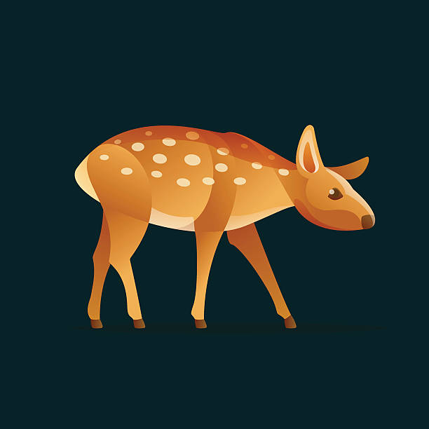 bildbanksillustrationer, clip art samt tecknat material och ikoner med baby deer vector character icon. - whitetail