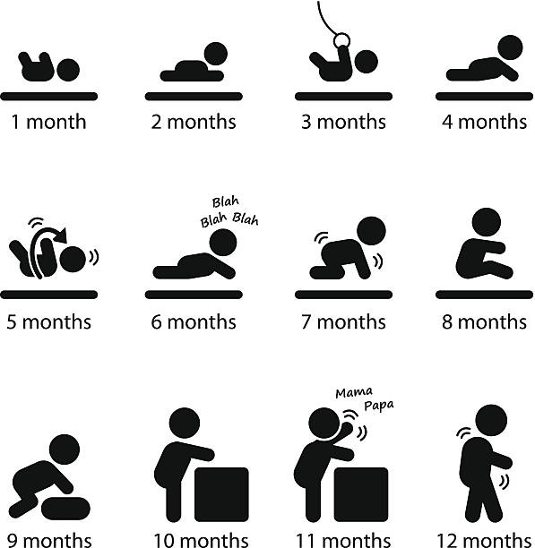 Baby Development Stages Milestones First One Year A set of pictograms representing the development stages of a baby in the first year. crawling stock illustrations