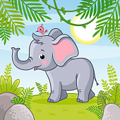 Baby elephant stands in a clearing. Vector illustration with animal in cartoon style.