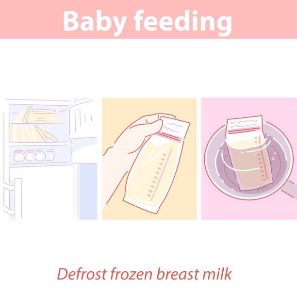 baby  feeding. Frozen breast milk for baby feeding. How to defrost frozen milk.  Bag of pumped milk  in freezer, in hand, in  hot water. Storage and use of breast milk for infant nutrition. Color vector illustration. chest freezer stock illustrations