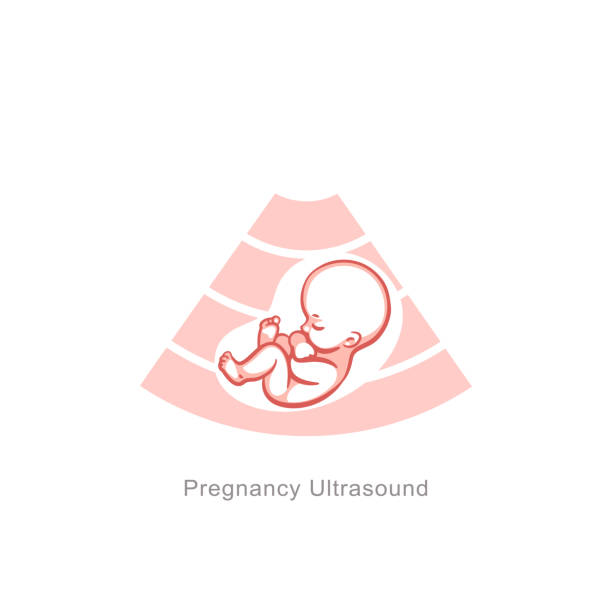 Baby in womb screening. Ultrasound examination. Pregnancy and health of child. Ultrasound examination procedure. embryo and umbilical cord on screen. Sign with text. Medical emblem for pregnancy center. Monochrome vector illustration pregnant clipart stock illustrations
