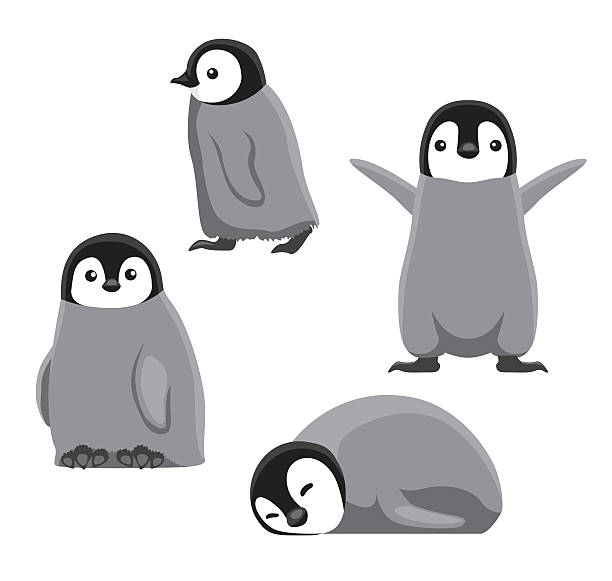 皇帝ペンギン イラスト素材 鳥 キングペンギン イワトビペンギン Istock