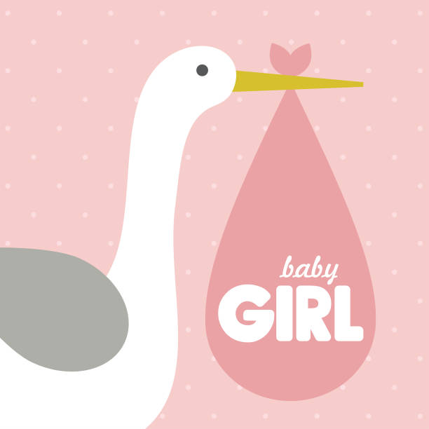 baby shower card design. baby shower card design. vector illustration it's a girl stock illustrations