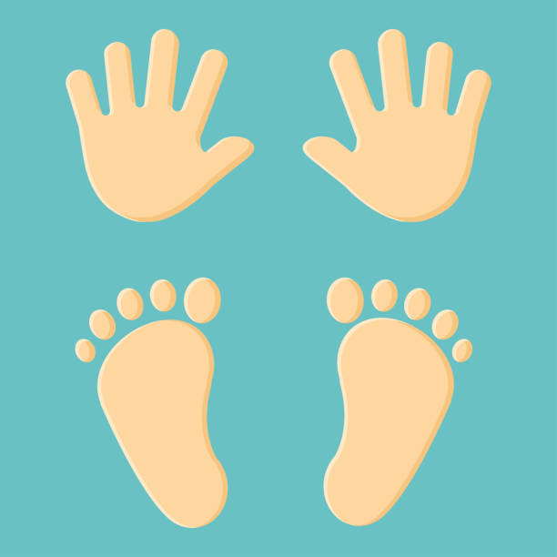 Baby Handprint or Footprint 