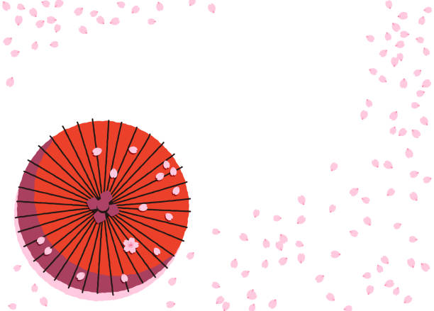 頭上から見た桜道と日本の傘の背景イラスト。 - 花びら点のイラスト素材／クリップアート素材／マンガ素材／アイコン素材
