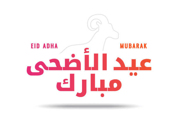 Background Illustration of Eid Al Adha with sheep and Arabic calligraphy for the celebration of Muslim community festival isolated on white background. Background Illustration of Eid Al Adha with sheep and Arabic calligraphy for the celebration of Muslim community festival isolated on white background. eid al adha calligraphy stock illustrations