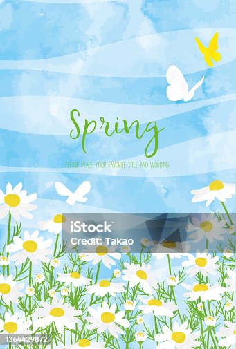 istock Background material of margaret and butterflies with the image of spring 1364429872