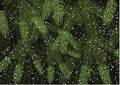 Background of Christmas tree branches with snow. fir branches vector pattern texture