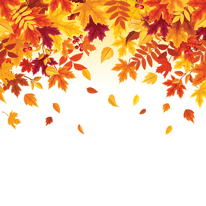Background with colorful falling autumn leaves. Vector illustration.